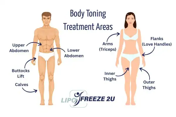 Graphic showing where you can have Body toning Treatment Hounslow on your body